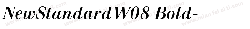 NewStandardW08 Bold字体转换